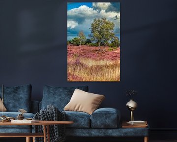 Bloeiende heideplanten in heidelandschap tijdens de zomer van Sjoerd van der Wal Fotografie