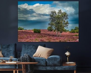 Bloeiende heideplanten in heidelandschap tijdens de zomer van Sjoerd van der Wal Fotografie