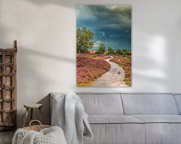 Pad door de bloeiende heideplanten in heidegebied l
