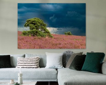 Bloeiende heideplanten in heidelandschap tijdens de zomer van Sjoerd van der Wal Fotografie