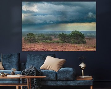 Donkere lucht boven bloeiende heideplanten in heidelandschap d van Sjoerd van der Wal Fotografie