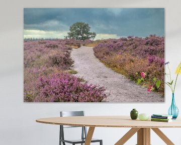 Bloeiende heideplanten in heidelandschap tijdens de zomer van Sjoerd van der Wal Fotografie