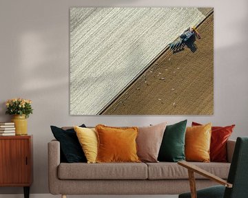 Tractor ploegt de grond voor het planten van gewassen