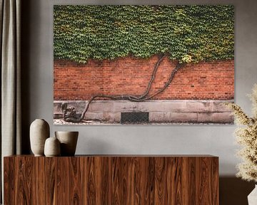 De boom tegen de muur. van Robby's fotografie