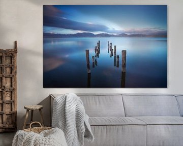 Palen in het meer, resten van een pier. Meer van Massaciuccoli van Stefano Orazzini