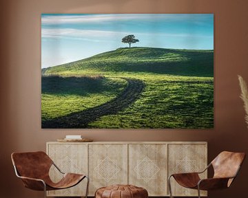 Eenzame boom op de top van een heuvel in Val d'Orcia. Toscane van Stefano Orazzini