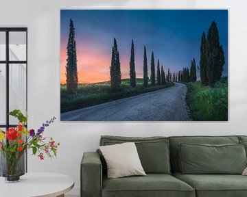Landweg met cipressen, Toscane van Stefano Orazzini