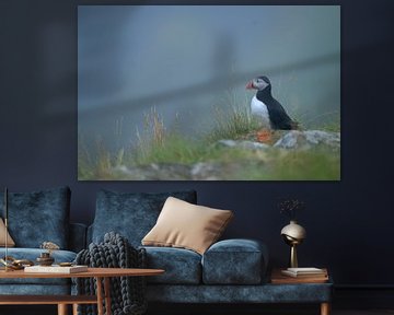 Puffin by Larissa Rand