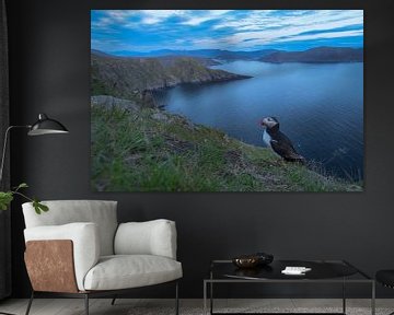 Puffin in its natural habitat by Larissa Rand
