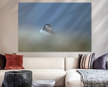 Papageientaucher in den Wolken von Larissa Rand