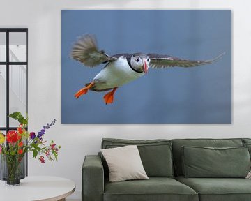 Ready for landing! by Larissa Rand