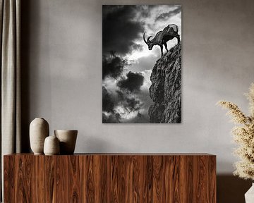De bewaker van de bergen van Poster Art Shop