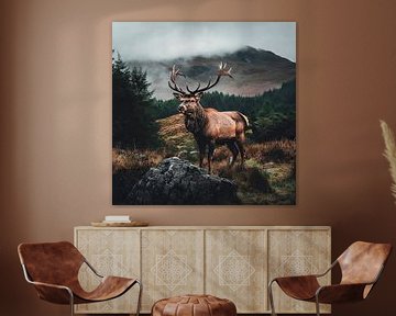 Majestueus hert in de bergen van Poster Art Shop