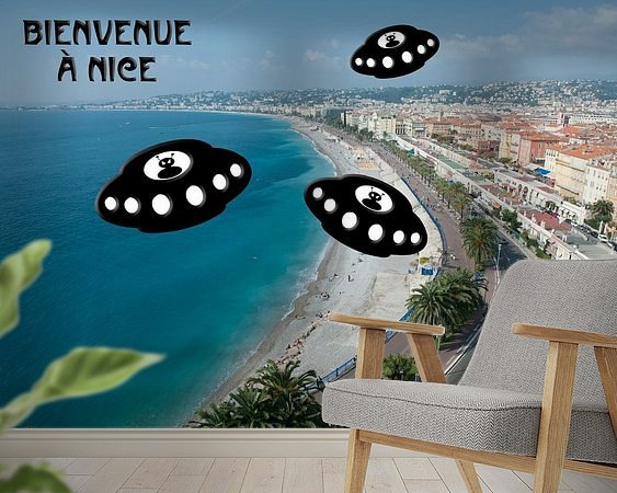 Aperçu de la chambre