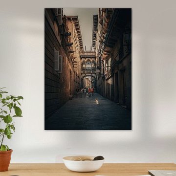 Pont del Bisbe, Barcelona