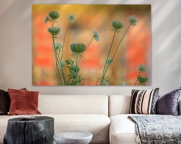 Wilde bloemen