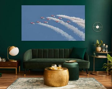 Canadian Armed Forces Snowbirds. van Jaap van den Berg