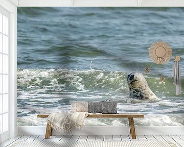 Bezoeker van De Razende Bol