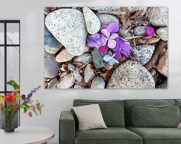 Stilleven met stenen, hout, bloemen genomen aan het strand