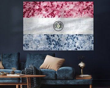 Paraguayan flag by Grüntyers .