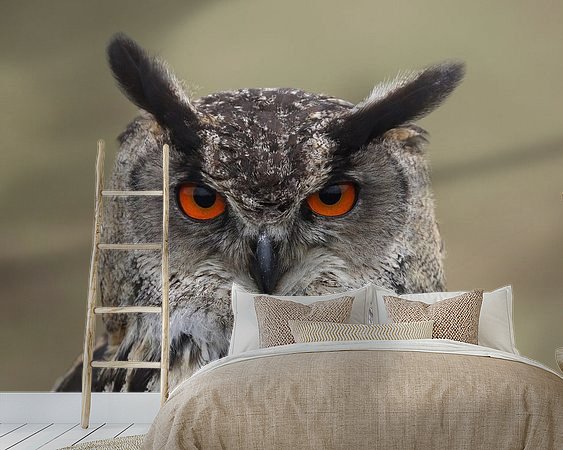 Voorbeeld van het werk in een kamer
