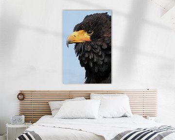 Portret van een Bateleur van Ronald Pol