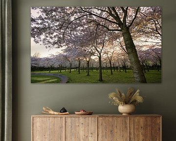 Curved Blossom Trees