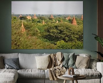 Bagan: land van duizend pagodes van Frank Photos