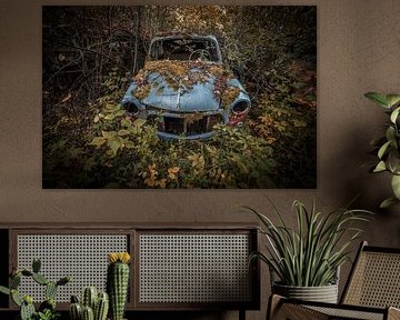 Oldtimer von Rianne Kugel