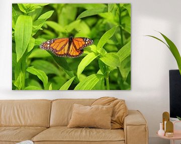 Monarch butterfly among greenery.
