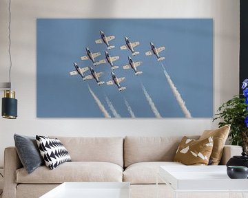 Canadian Armed Forces Snowbirds. van Jaap van den Berg