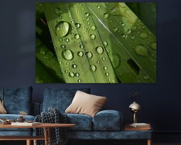 The garden after the rain by Claude Laprise