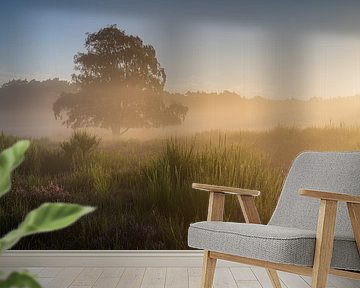 Gouden zonsopkomstlicht op de Tafelbergheide