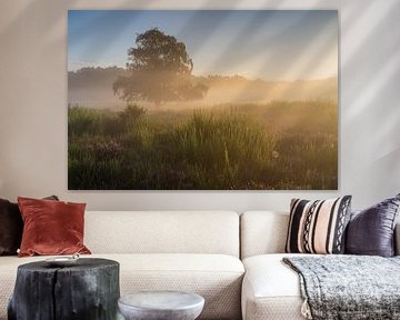 Gouden zonsopkomstlicht op de Tafelbergheide van Jeroen de Jongh Fotografie