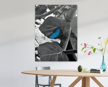 Blauw in de Schaduw van de stilte van Joanne Verbeek-Louhenapessy