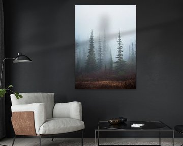 Foggy Pines