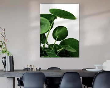 Greens