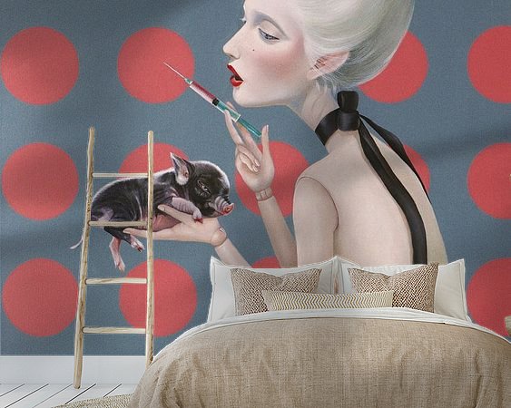 Aperçu de la chambre