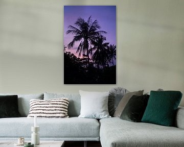 palmboom silhouette