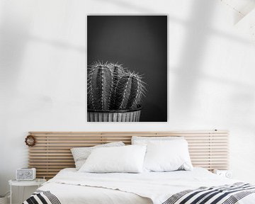 Donkere cactus in zwart wit - moody natuur fotografie van Christa Stroo fotografie