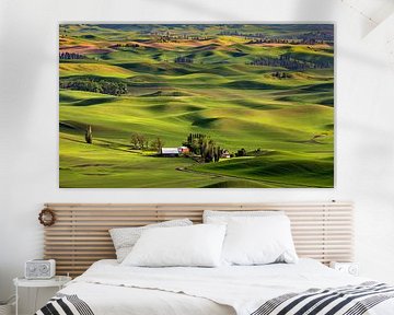 Golvend groen landschap van de Palouse, VS van Adelheid Smitt