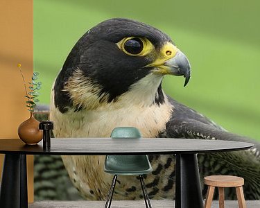 Raumvorschau