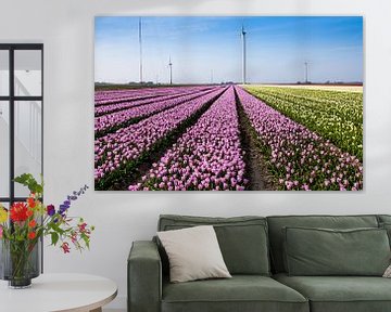 Tulpen in Holland van René Holtslag