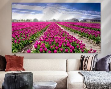 Tulpenveld in Flevoland von René Holtslag