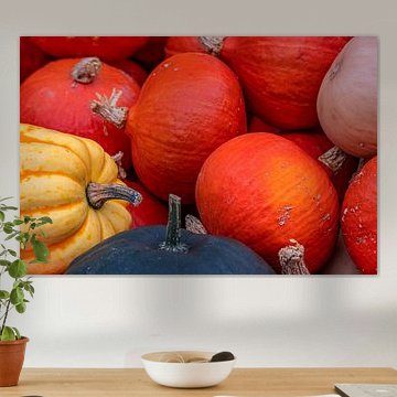 Kürbisvielfalt von Photoart-Naegele