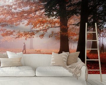 Small story of a foggy morning in the Mastbos. by Saskia Dingemans Awarded Photographer