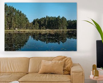 Schwedische Landschaft mit See von Geertjan Plooijer