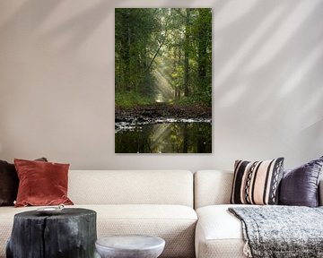 Ochtendzon door de bomen van Lobke Bink