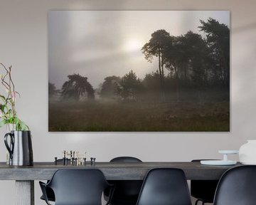 Sfeervolle mistige zonsopkomst op de heide van Cor de Hamer