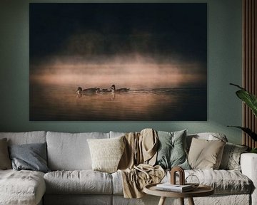 Ganzen in het ochtendlicht van Thomas Heins